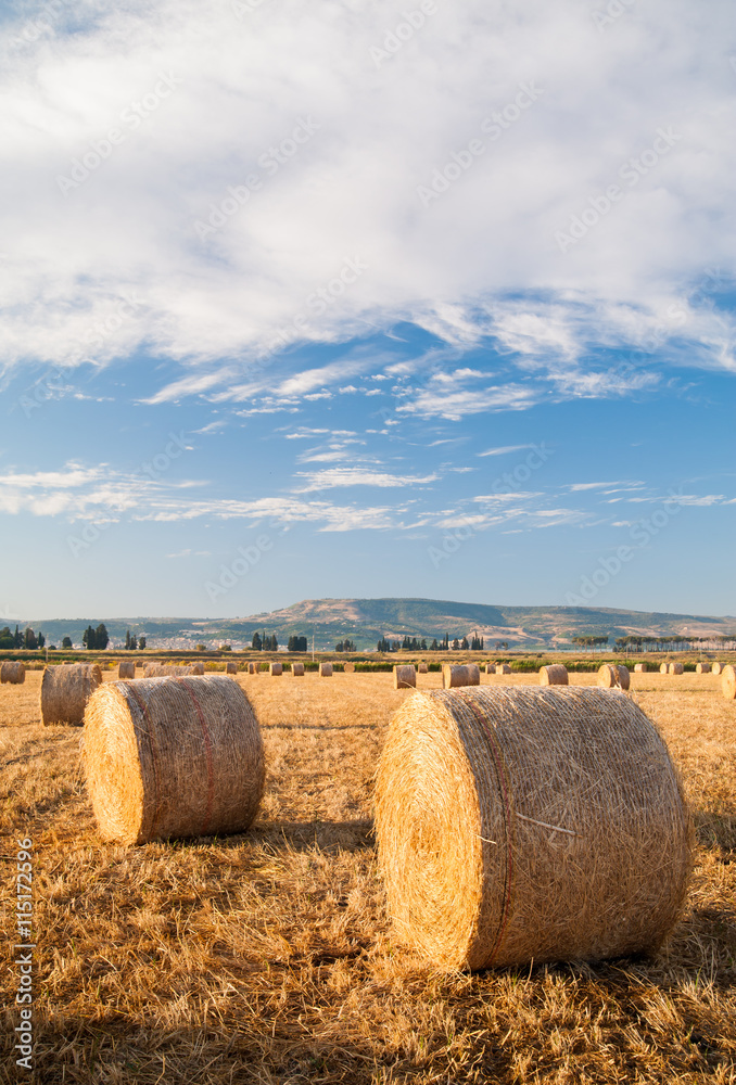Straw bales in the plain of Catania, Sicily