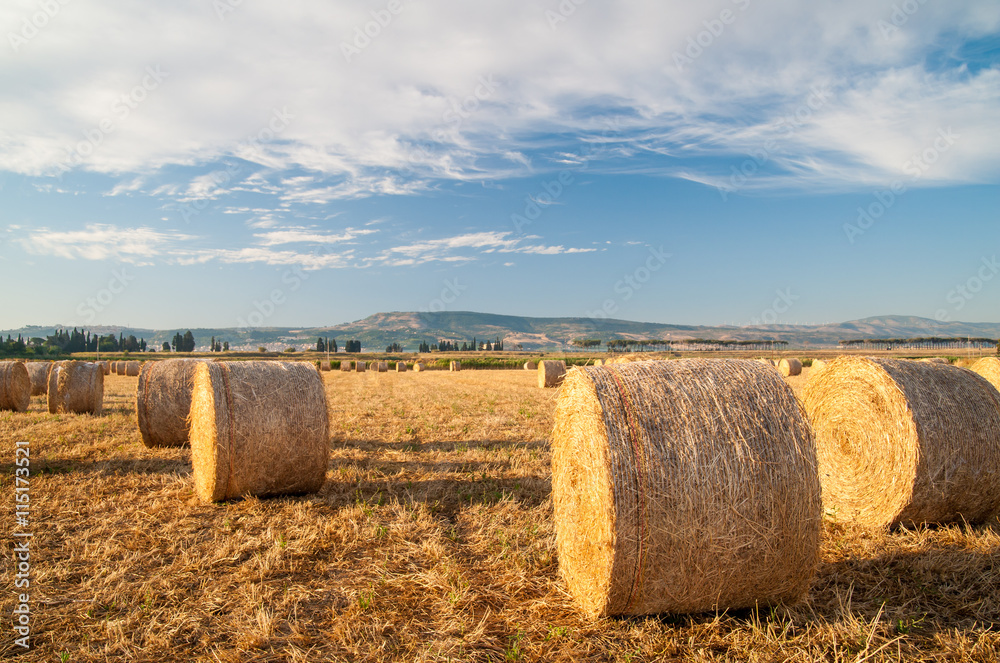 Straw bales in the plain of Catania, Sicily