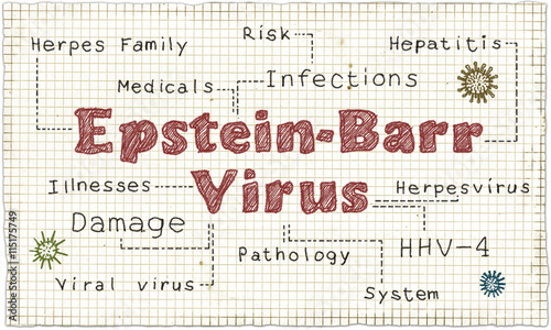 Epstein-Barr Virus photo