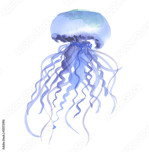 isolated blue jellyfish wat...