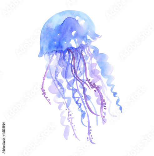 isolated blue jellyfish watercolor illustration. handmade painti photo