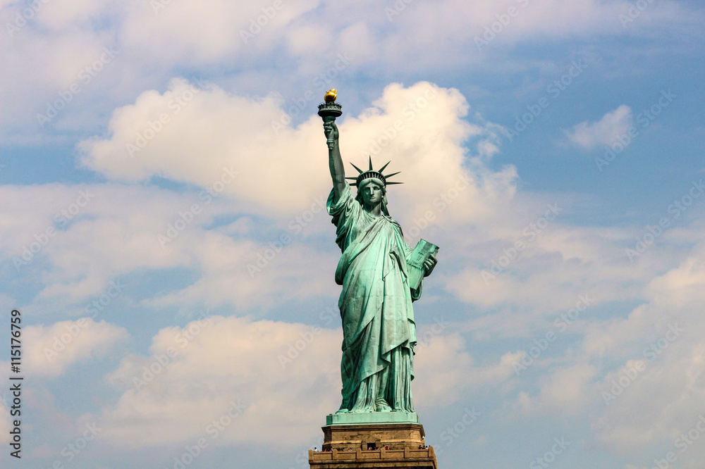 Fototapeta premium a view of new york