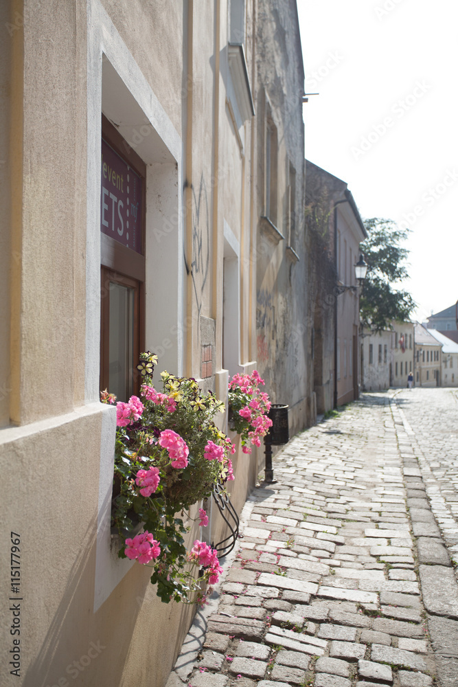 Fototapeta premium Bratislava, Slovakia