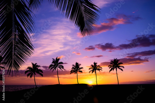 Hawaiian palm tree sunset