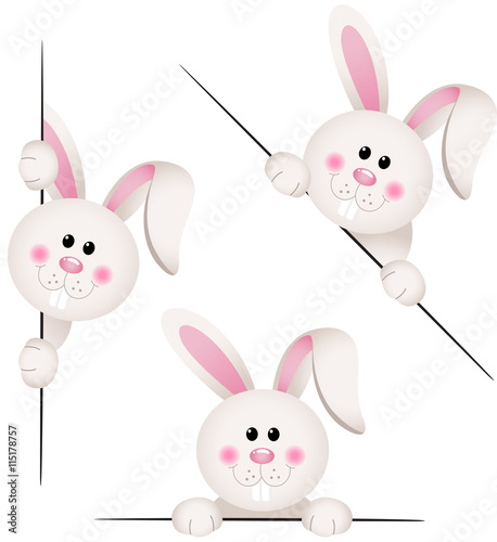 Bunny peeking from behind in various positions
