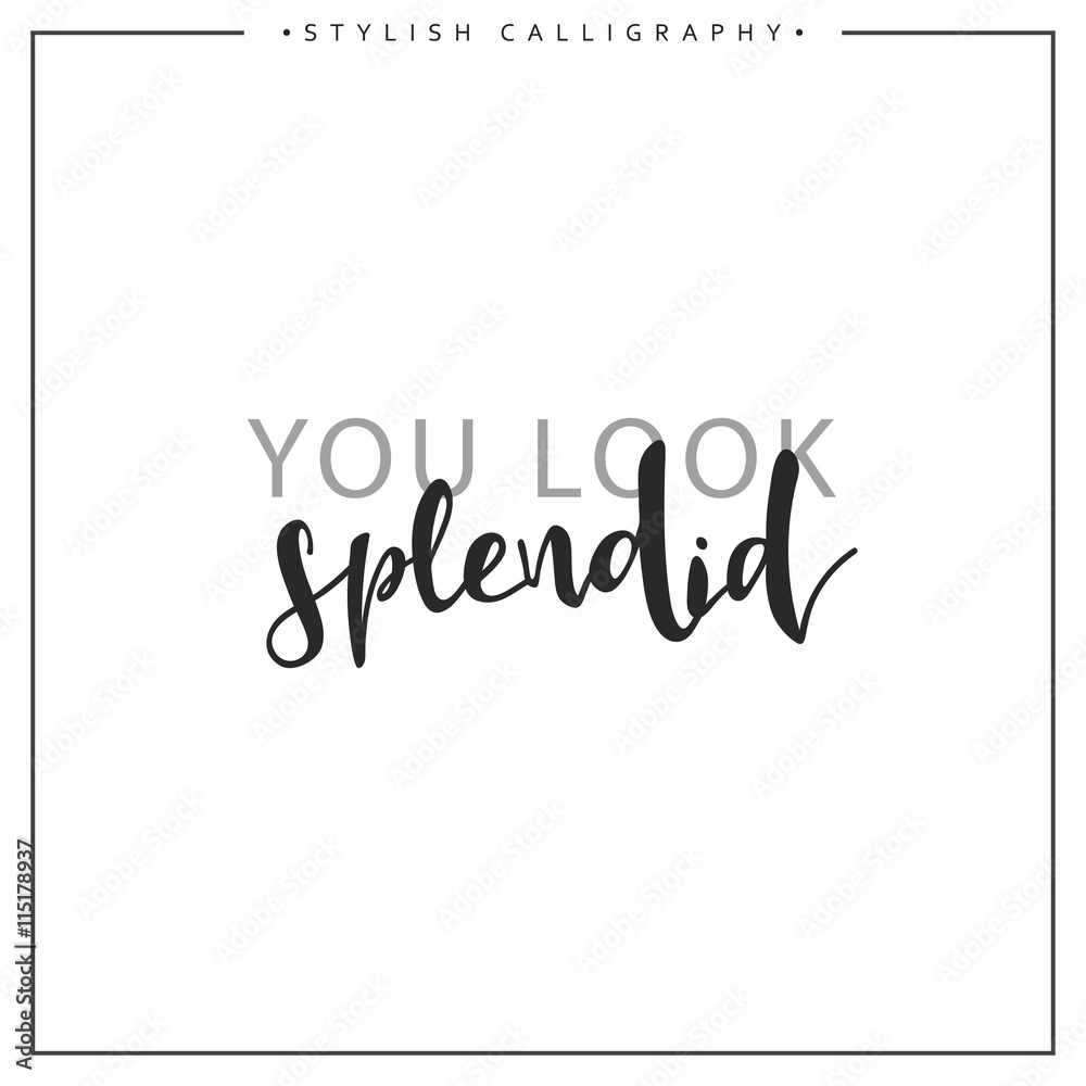 Calligraphy isolated on white background inscription phrase, you look splendid. Calligraphy isolated on white background inscription phrase, you look splendid.