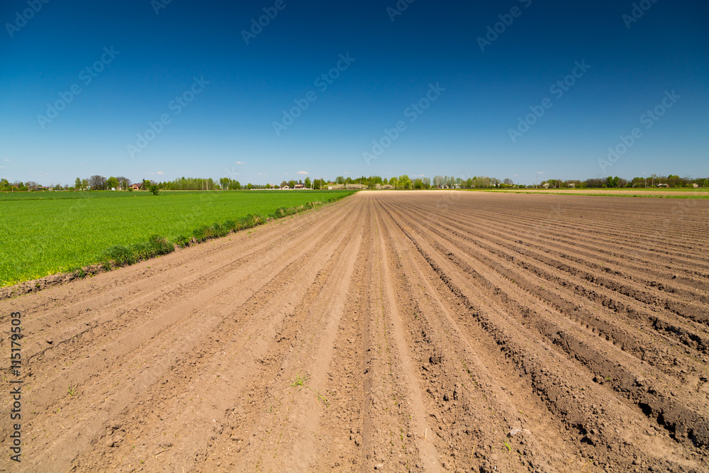 Scenery in the area around Bramki, a village in the administrative district of Gmina Błonie, within Warsaw West County, in east-central Poland
Scenery in the area around Bramki, a village in the administrative district of Gmina Błonie, within Warsaw West County, in east-central Poland