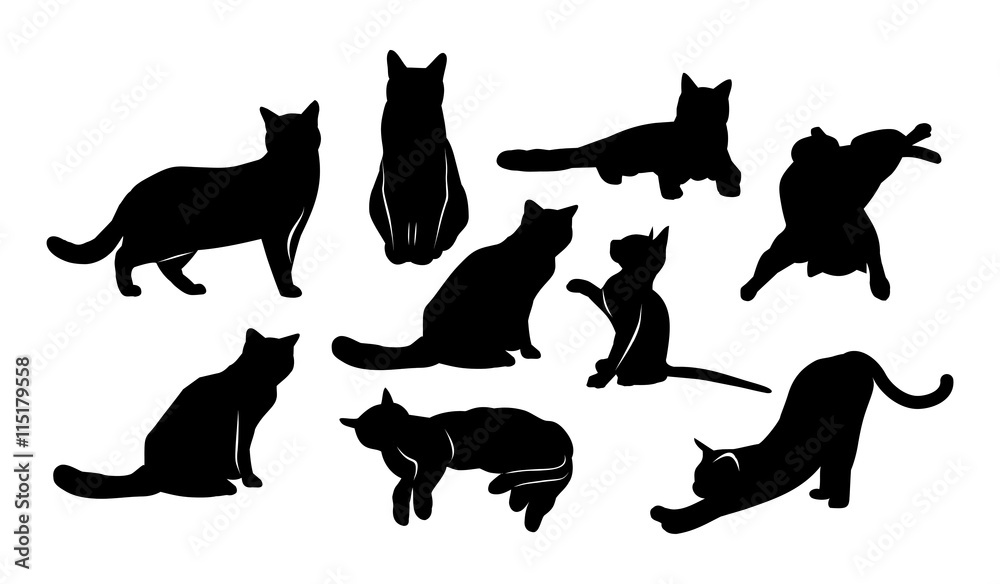 black silhouettes of cats on a white background