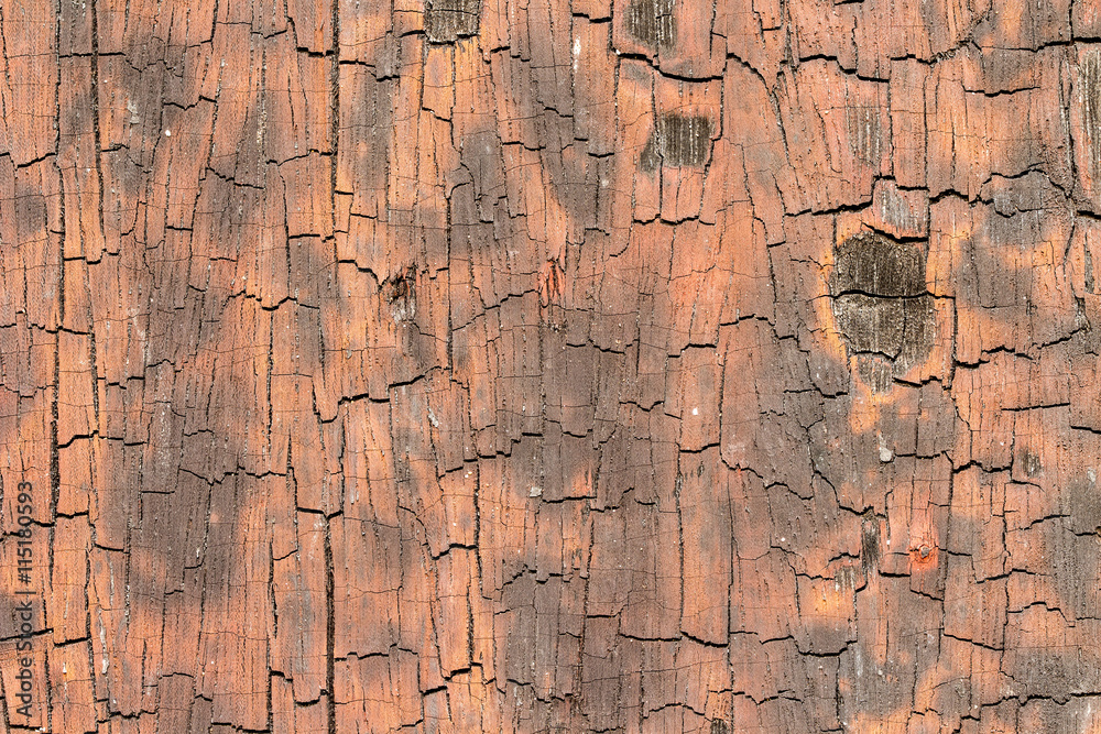 Fototapeta premium wood texture. background old panels