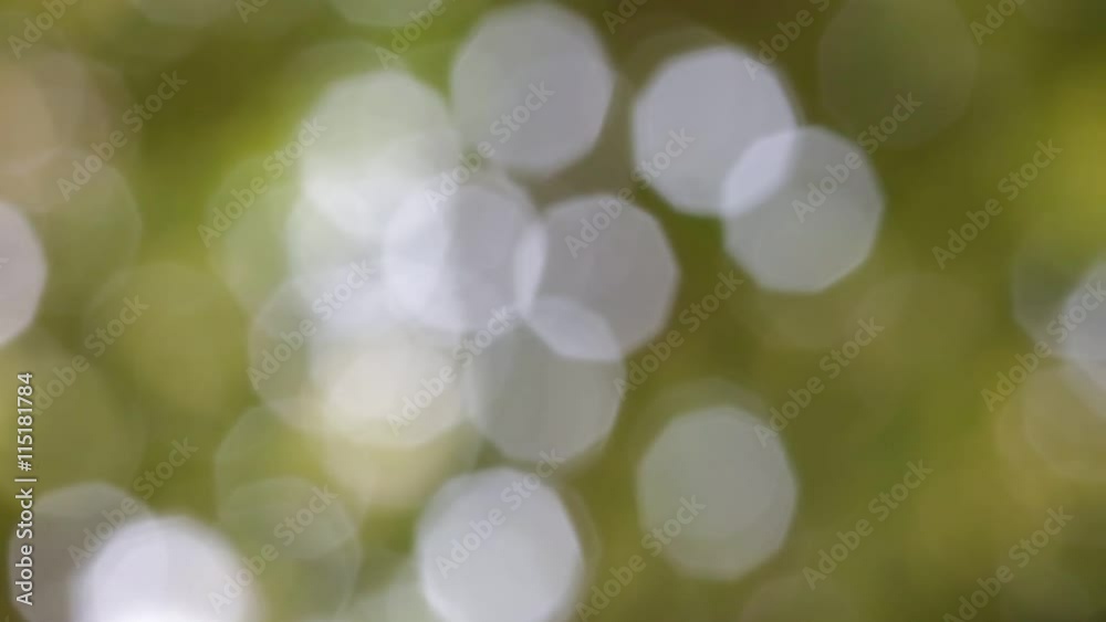 the abstract colors and blur   background texture.