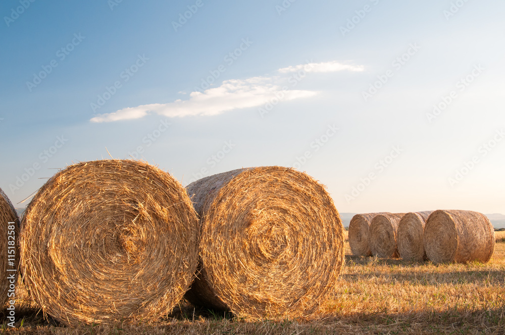 Straw bales in the plain of Catania, Sicily Straw bales in the plain of Catania, Sicily