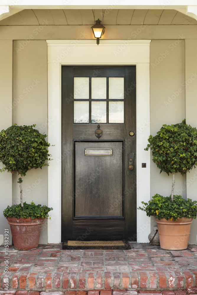 Obraz premium Front door, front view of a black front door with a mail slot and two plants