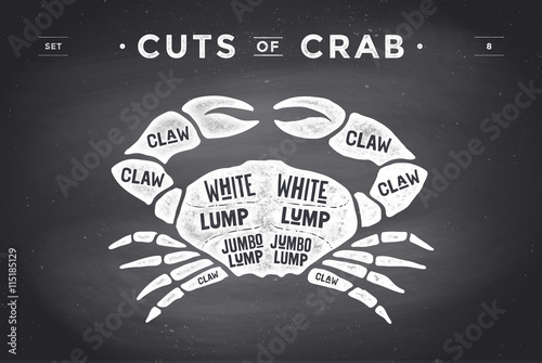 Cut of meat set. Poster Butcher diagram and scheme - Crab. Vintage typographic hand-drawn visual guide for butcher shop on chalk black background. Vector illustration