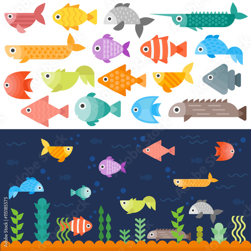 Tropical underwater fishes collection on white background. Colorful aquarium exotic underwater fishes. Coral animal ocean water marine underwater fishes set. Environment landscape diving beauty.