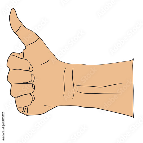 gesture and body parts concept - human hands showing thumbs up in circle