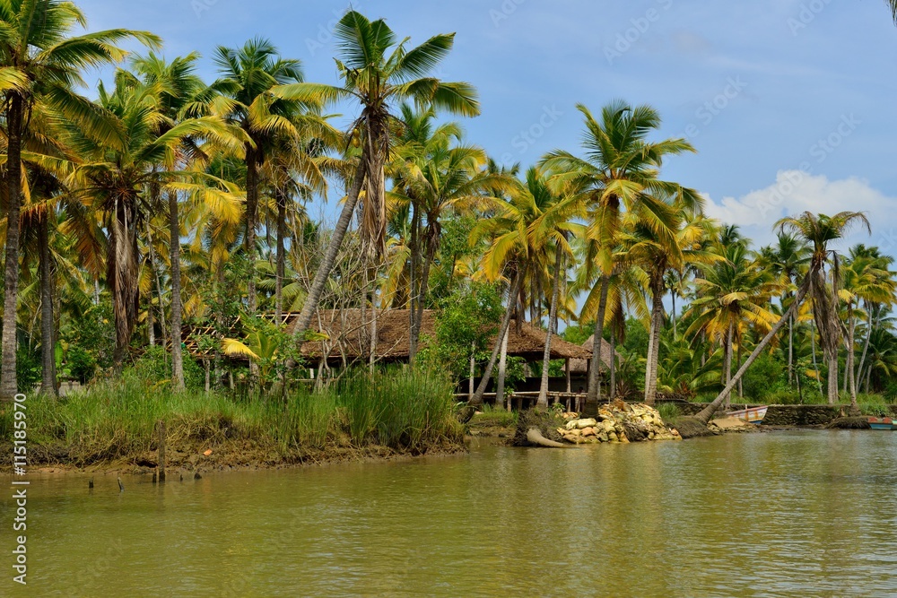 Backwaters in Kerala, Indien Backwaters in Kerala, Indien
