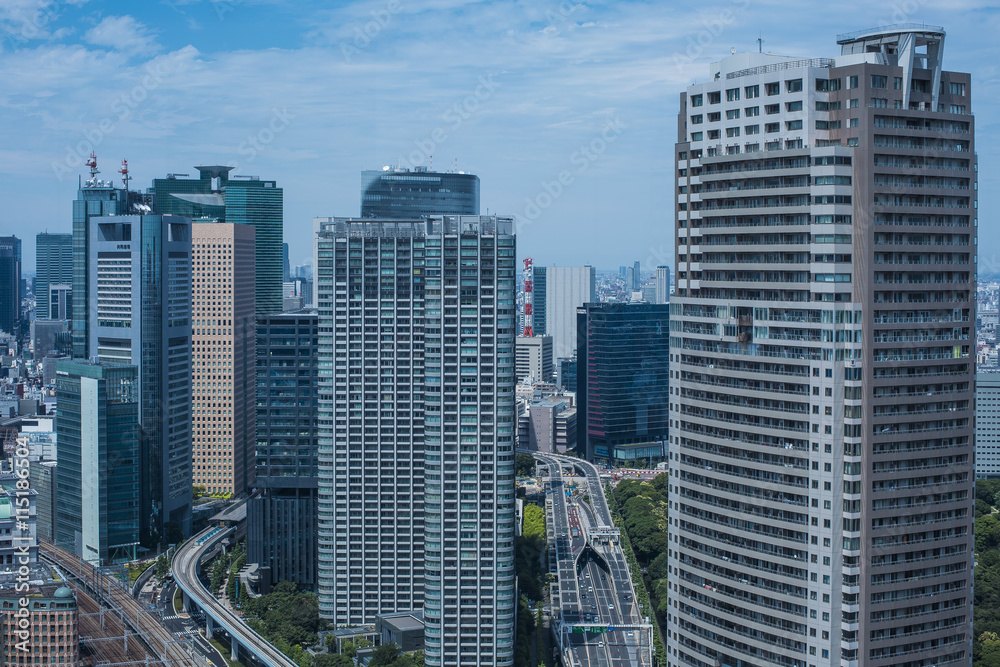 Naklejka premium Krajobraz miasta Tokio