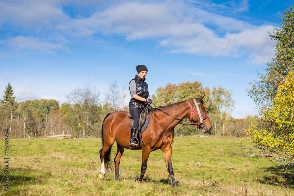 Elegant attractive woman riding a horse meadow