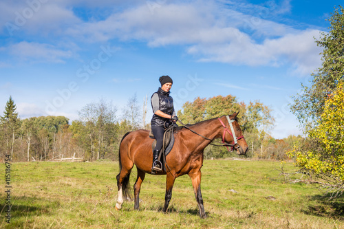 Elegant attractive woman riding a horse meadow © AnnaMoskvina