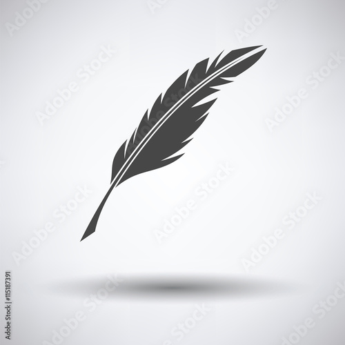 Writing feather icon