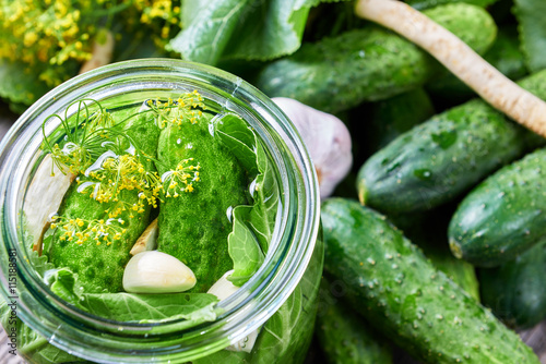 Home made pickles in brine with garlic, dill and horseradish