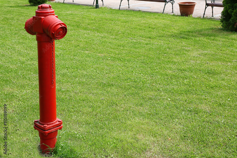 Red hydrant on green grass background Red hydrant on green grass background