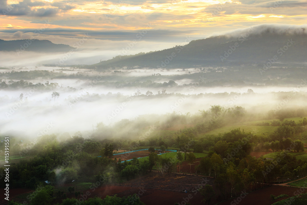 The beauty of the natural with the mist and sun rays environment during sunrise and sunset at Khao Kho District ,Phetchabun Province in Thailand The beauty of the natural with the mist and sun rays environment during sunrise and sunset at Khao Kho District ,Phetchabun Province in Thailand