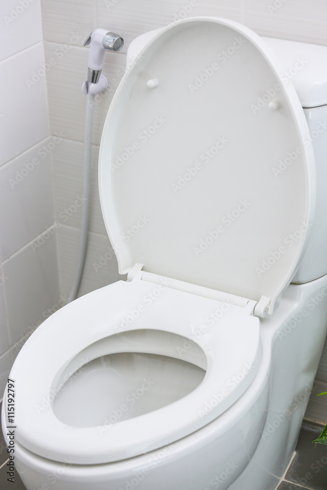 White toilet in modern home white toilet bowl in cleaning room