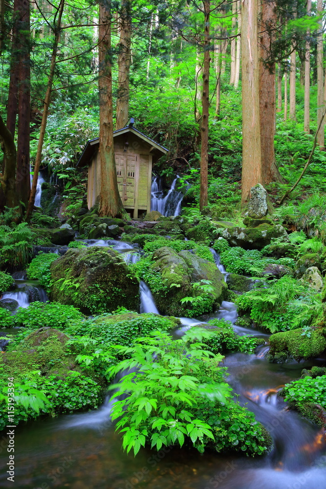 山形県遊佐町 胴腹滝 山形県遊佐町 胴腹滝
