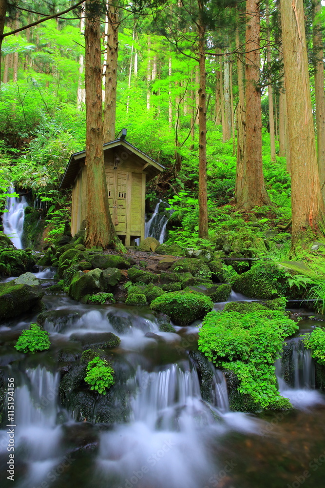 山形県遊佐町　胴腹滝