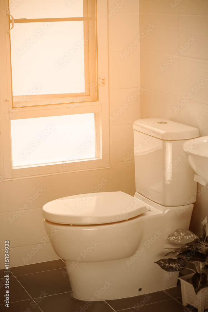 white toilet in modern home, white toilet bowl in cleaning room, flushing liquid in toilet, private toilet in modern room, interior equipment and modern restroom, cleaning toilet. white toilet in modern home, white toilet bowl in cleaning room, flushing liquid in toilet, private toilet in modern room, interior equipment and modern restroom, cleaning toilet.