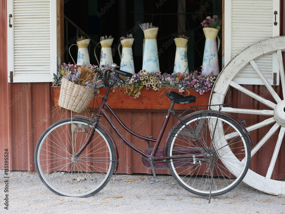 Vintage bicycle with flowers in front of  window