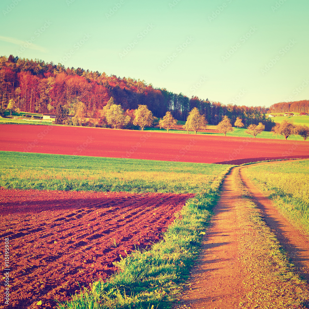 Plowed Fields