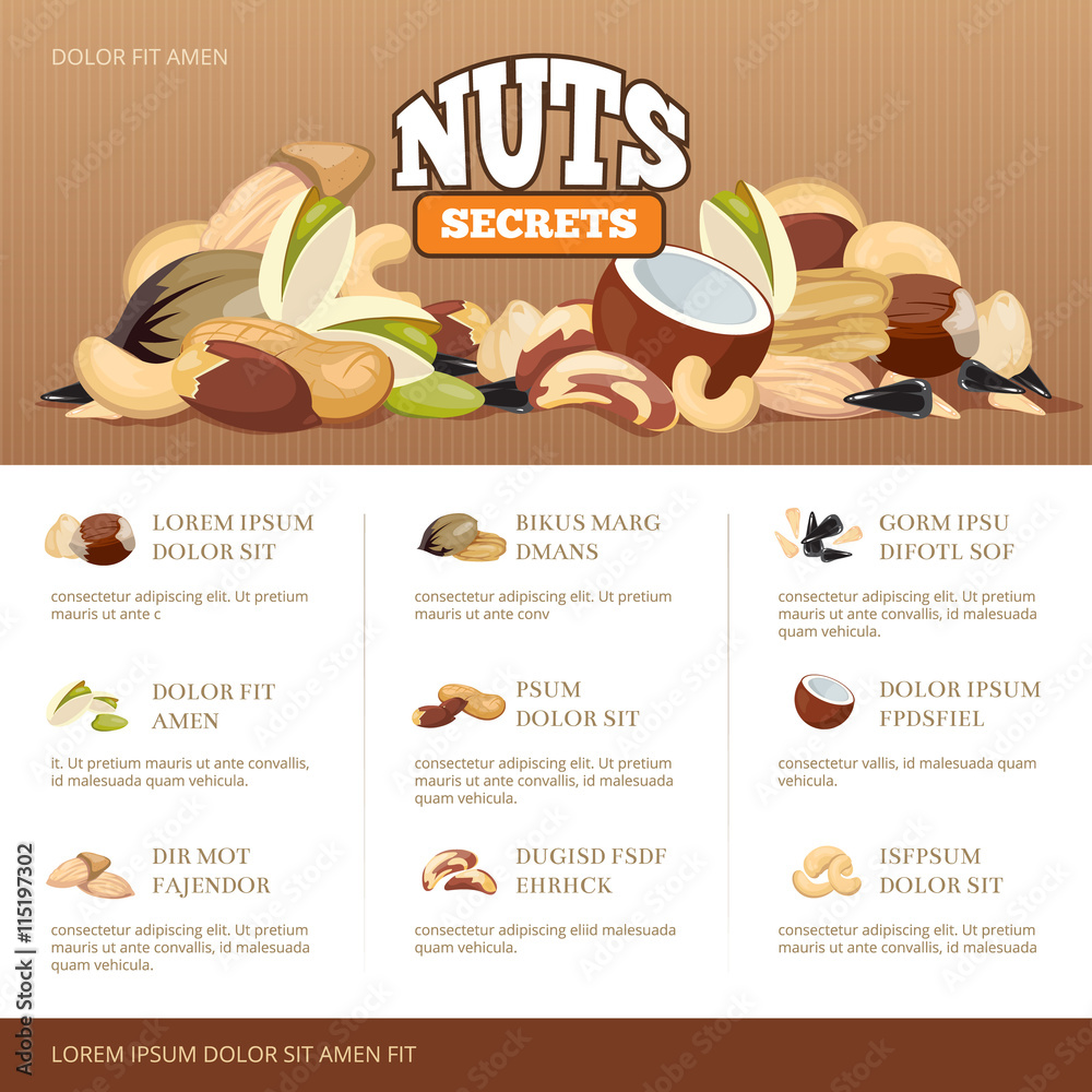 Natural raw nuts mix brochure design template. Set of nuts almond