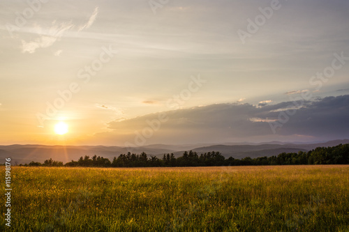 Sunset in Grassy Meadow