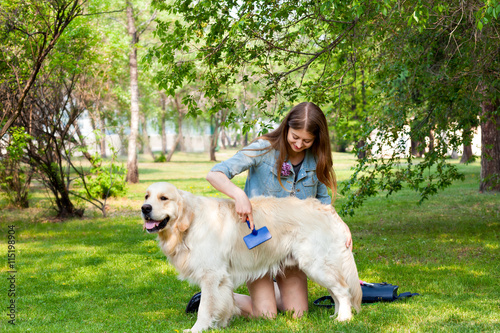 woman combing fur golden retriever dog on a green lawn