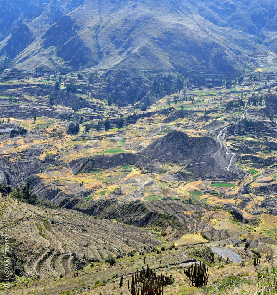  Sacred Valley with the cultivated farmer fields