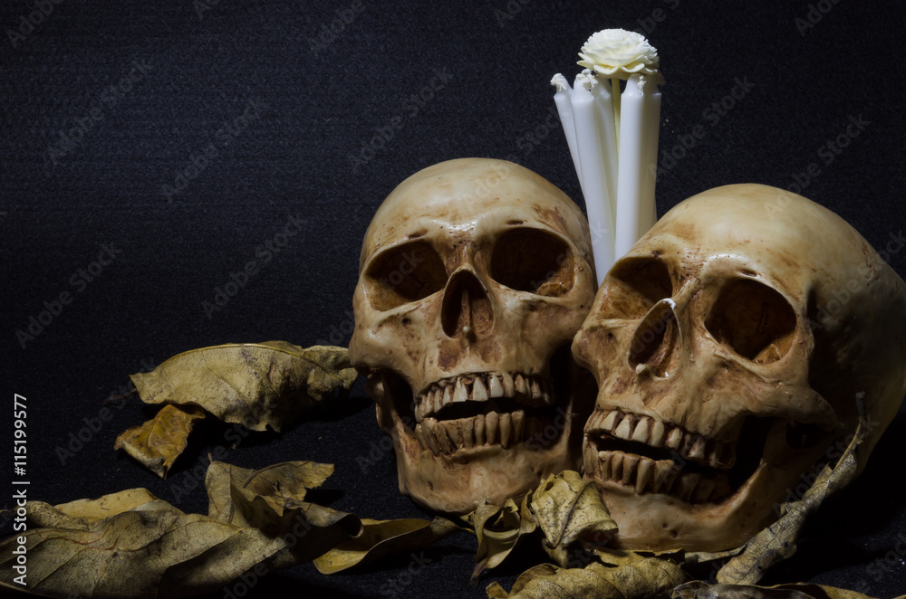 Still life of two skulls with dried leaves and white candle Still life of two skulls with dried leaves and white candle