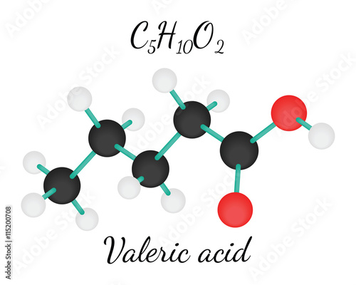 C5H10O2 Valeric acid molecule