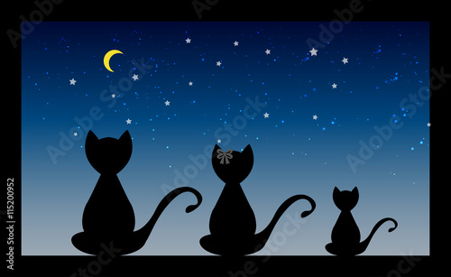 Cat Family
