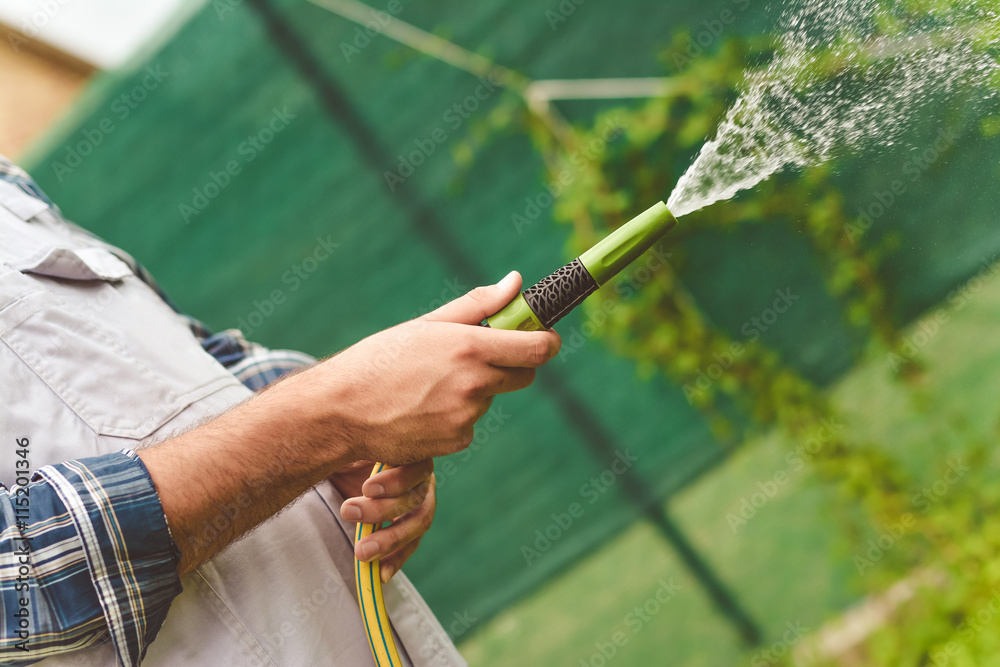 Obraz premium Working watering garden from hose