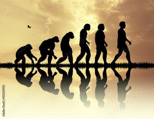 Vászonkép Human evolution