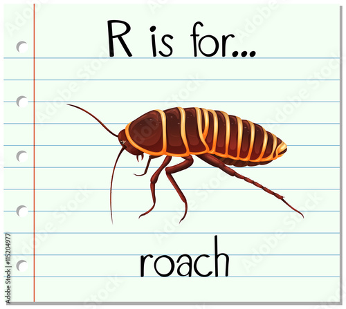 Flashcard letter R is for roach