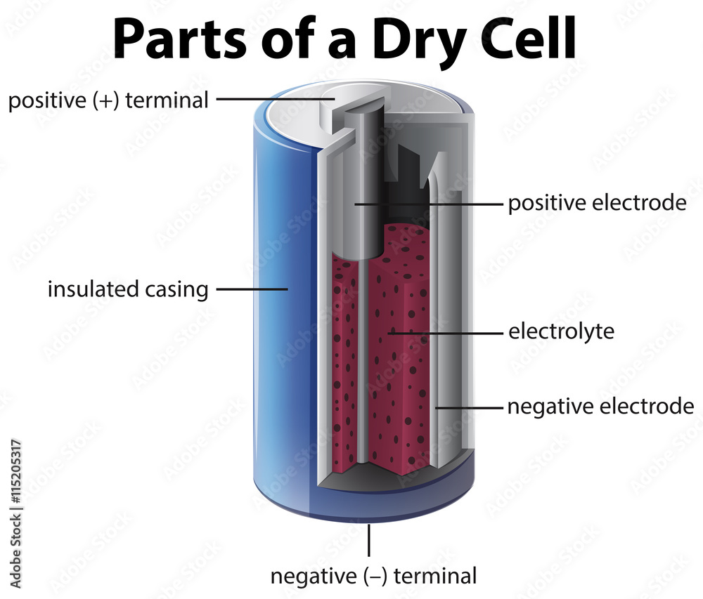 Diagram showing inside of battery Stock Vector Adobe Stock