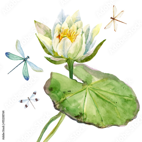 Watercolor lotus flower