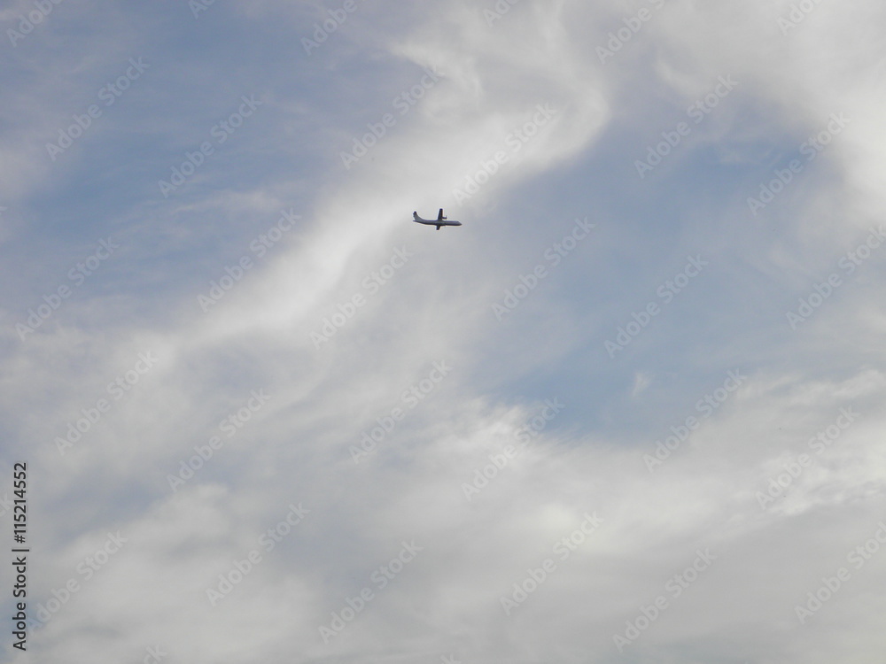 Airplane in the cloudy sky