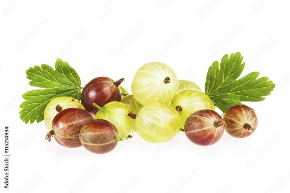 Red and green gooseberries isolated on white background Red and green gooseberries isolated on white background