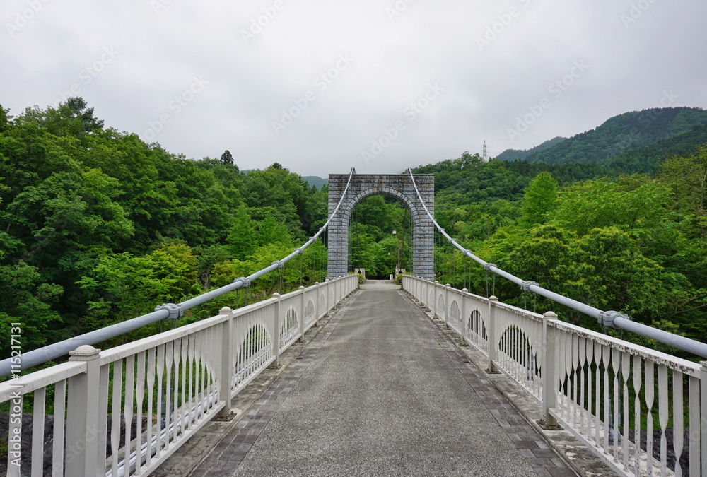 Majestic cable stony bridge for pedestrians spanning over the green valley in Nikko, Japan