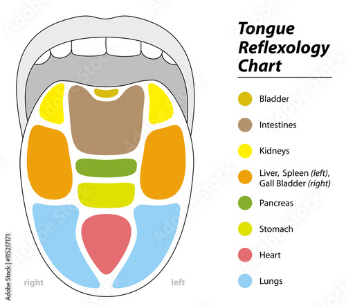 Tongue diagnosis chart with reflexology areas of the corresponding internal organs.