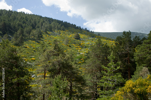 Valhondillo valley in Guadarrama range